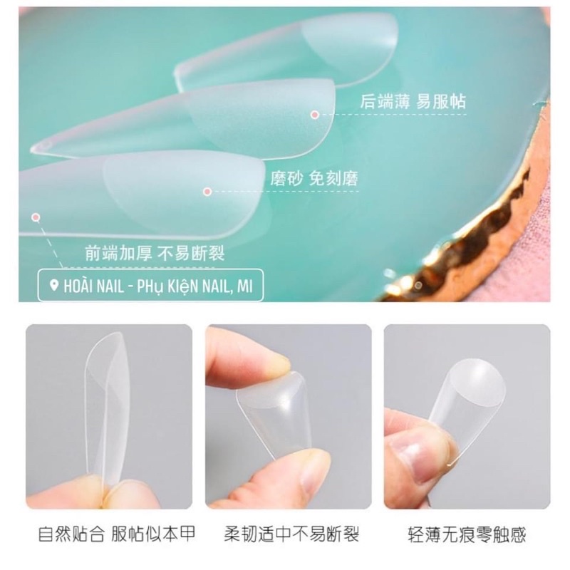 Móng úp nhám lẻ size 5-6-7-8-9-10-11