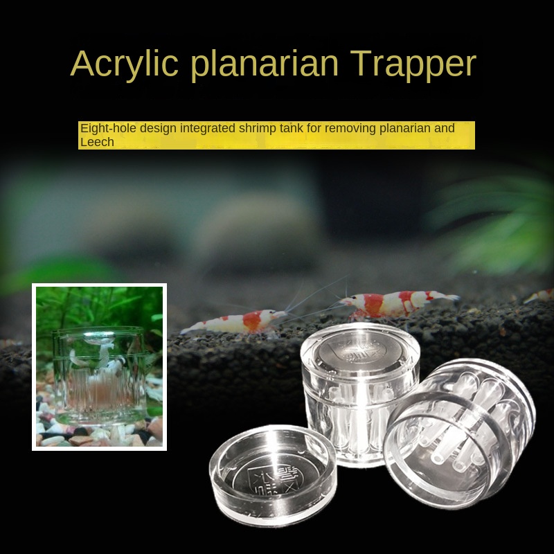 Cây Thủy Sinh 3 Lỗ 2 Lỗ 8 Lỗ Bắt Côn Trùng Bằng acrylic