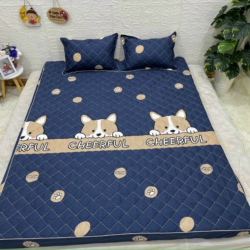 Ga Chun Chần Bông Dày Dặn Coton Poly Đủ Cỡ , Ga Chun Trần Bông Được Chọn Mẫu