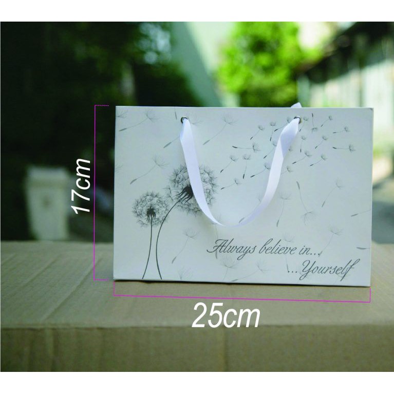 50 túi giấy quai ruy băng mẫu 19 đựng quà size 25x17x9cm