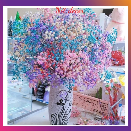 Hoa Baby tự nhiên sấy khô ướp màu dùng trang trí nhà