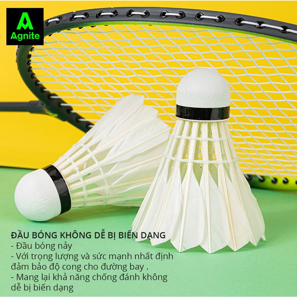 Quả cầu lông Agnite chính hãng, Hộp 12 quả, Lông vịt thẳng, Chắc chắn, Chịu va đập - F2202S - vpp Diệp Lạc