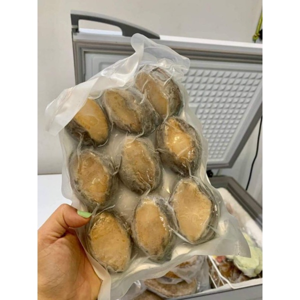 BÀO NGƯ 🦪 khay 500g 9_10con.(giao hỏa tốc)