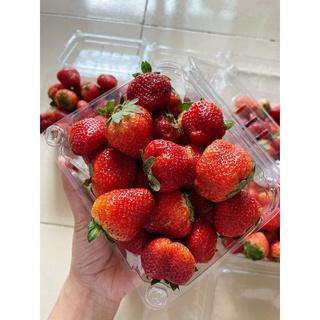 Dâu mỹ đá đà lạt