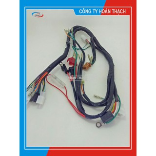 BỘ DÂY ĐIỆN SƯỜN XE MÁY WIN CÓ ĐỀ