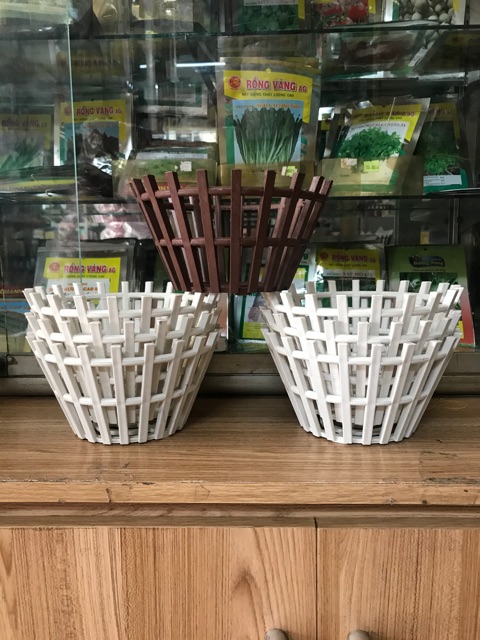 combo 5 Chậu giả rổ trồng lan - size 20cm