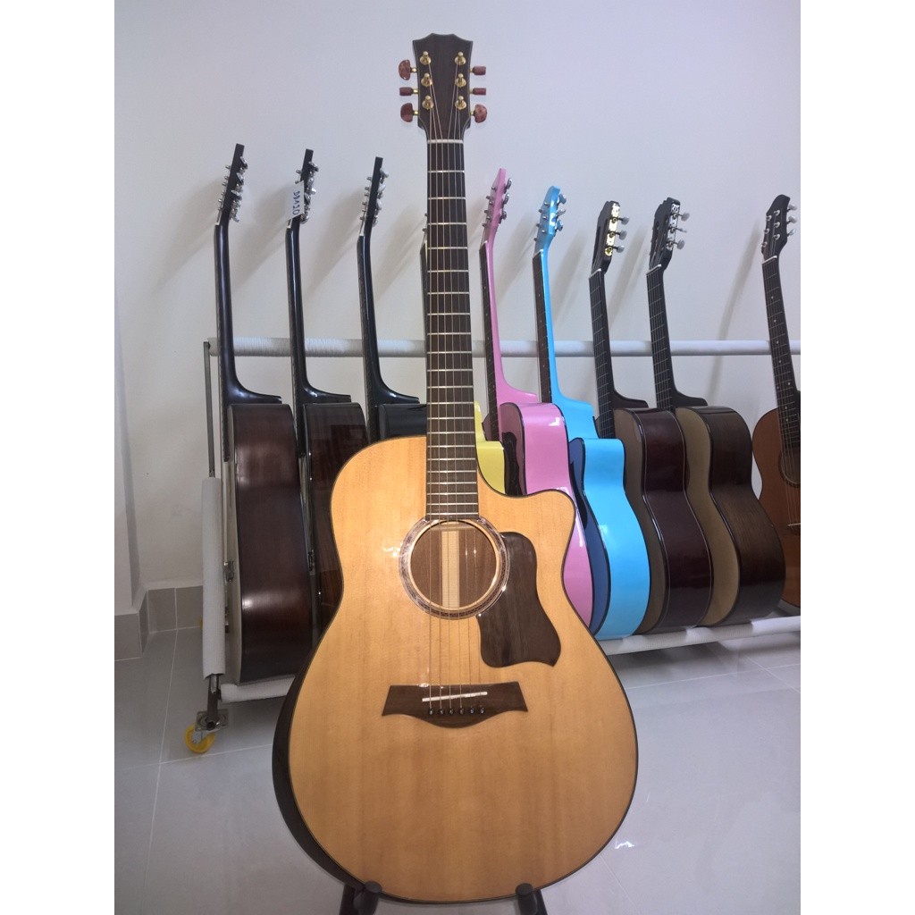 Acoustic Guitar Taylor Việt Nam D450 có EQ MET B12