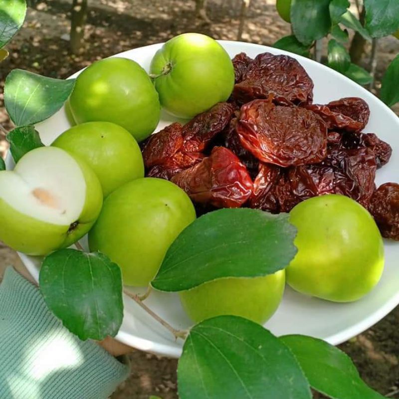 TÁO XANH NINH THUẬN SẤY LẠNH HỮU CƠ KHÔNG ĐƯỜNG KHÔNG HẠT
