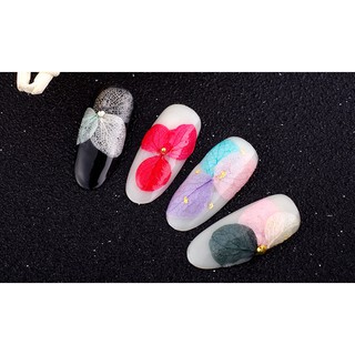 set 12 màu hoa khô trang trí móng nail