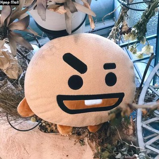 Gấu Cushion BT21 Mẫu 1