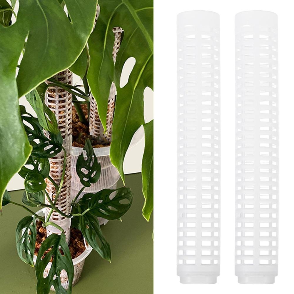 Set 2 Thanh Nhựa Hỗ Trợ Trồng Cây Cho Đám Cưới