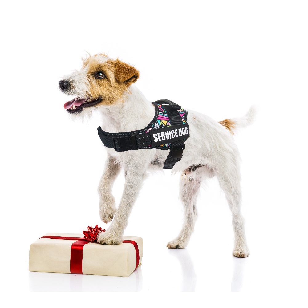 Dây dắt chó cao cấp dạng yếm dễ kiểm soát được thú cưng - Genyo pet rope 009