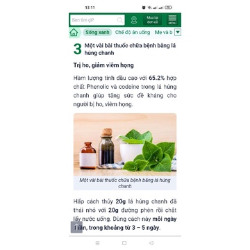 Combo10 cây húng chanh................