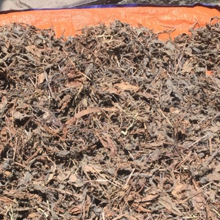 Combo 2,5 kg mã đề, cỏ tranh, chuối hột, kim tiền thảo, râu ngô