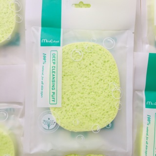 Bông Bọt Biển Xanh Cát