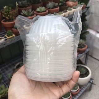 chén nhựa nhỏ dùng 1 lần-chén giấy dùng 1 lần