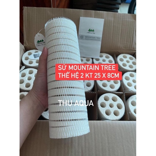 Sứ Mountain Tree thế hệ thứ 2 XL KT 25x8cm