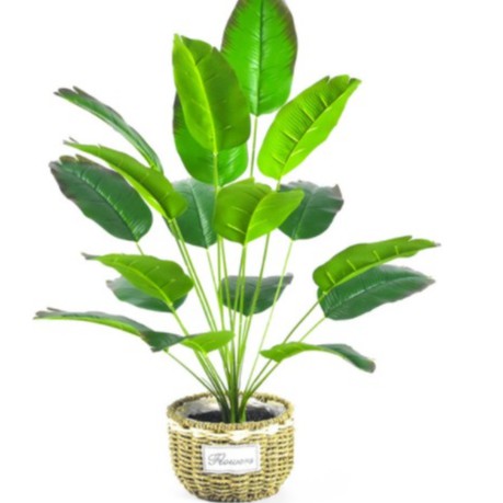 Cây Chuối Giả (Nhựa PVC) Cao Cấp, dùng trang trí làm cây cảnh trong nhà nên mua kèm chậu nhựa trồng cây
