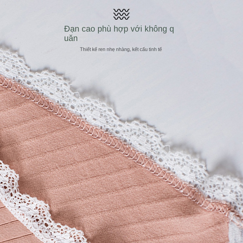 Quần Lót Cotton Phối Ren Thoải Mái Quyến Rũ Cho Nữ