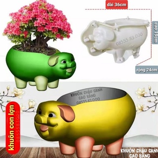 Khuôn đúc chậu cảnh hình con lợn