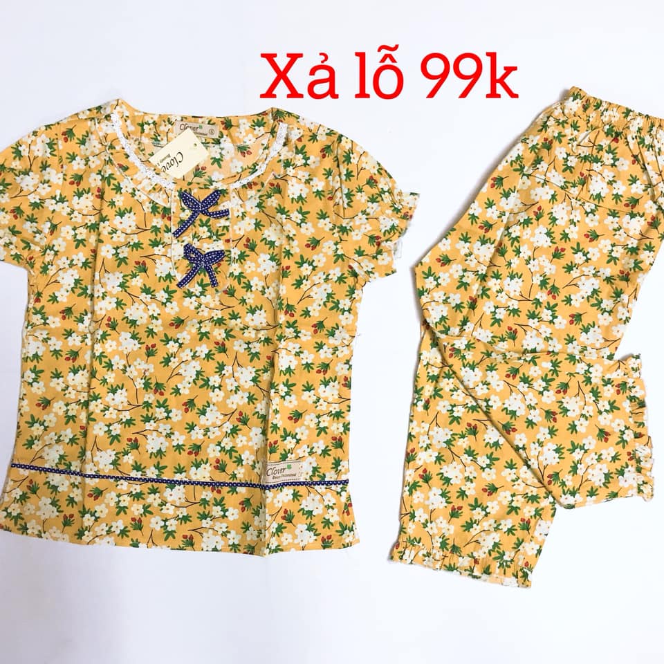 bộ lửng,đồ dài mặc nhà, quần áo nữ xinh xắn chỉ  từ 99k | BigBuy360 - bigbuy360.vn