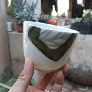 Chậu Gốm Nhật Trồng Sen Đá