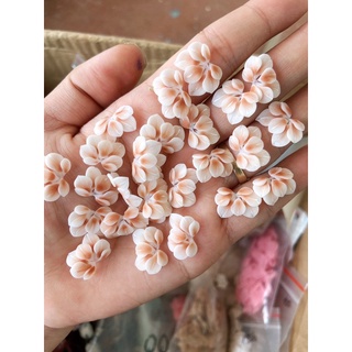 hoa bột nail mã T