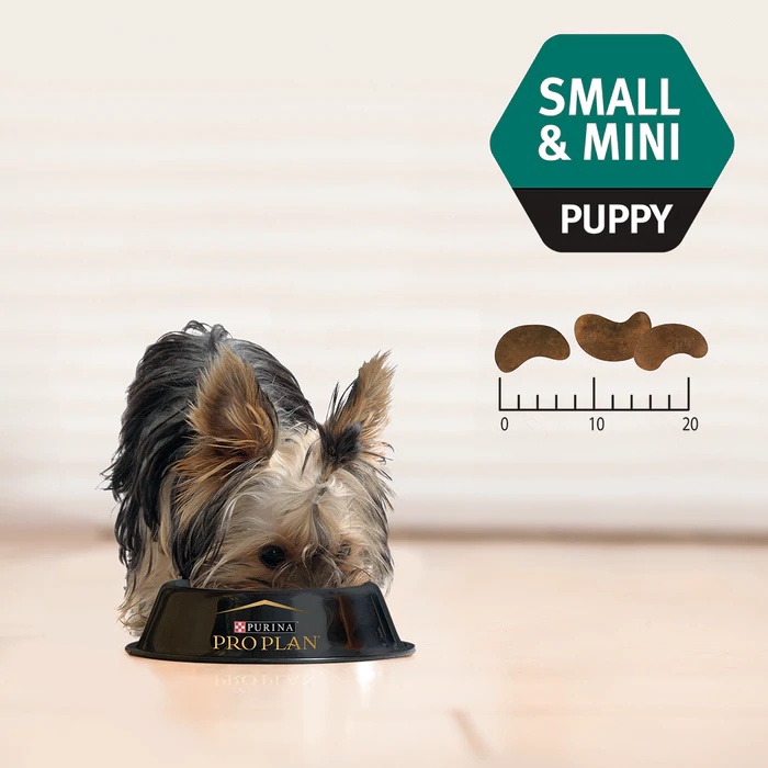 2.5kg - Hạt Purina Pro Plan cho Chó con giống nhỏ hương vị Gà ProPlan Puppy Small &amp; Mini Chicken formula Garé Pet Shop