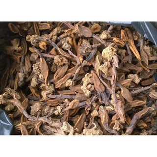 NẤM NGỌC CẨU CHUYÊN SỈ 1KG | THẢO MỘC NGUYÊN CHẤT | NÔNG SẢN THIÊN TÚ