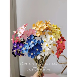 Hoa khô trang trí🍁 Hoa Cúc Họa Mi handmade bền đẹp🍁