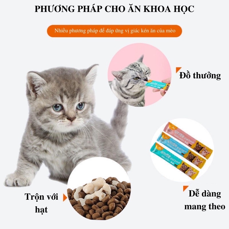 Súp thưởng cho mèo