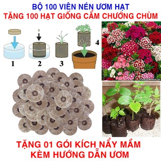 100 viên nén ươm hạt (tặng 100 Hạt giống Cẩm chướng chùm + Kích thích nẩy mầm, Hướng dẫn)