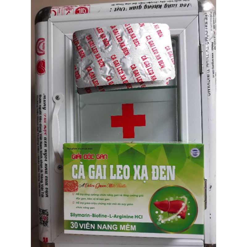 Cà gai leo xạ đen giải độc bảo vệ chức năng gan Hộp 30v Tín Tâm shop | BigBuy360 - bigbuy360.vn