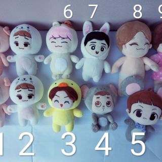 Doll  EXO SHINee  BTS đồng giá 150k