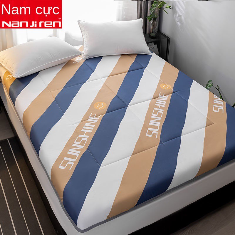 Nệm, chiếu tatami gấp đôi 1,5m gia dụng