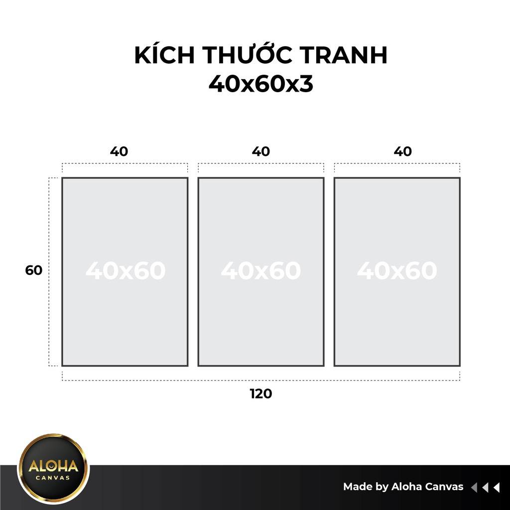 Giá Sock  3 Tranh Canvas Treo Tường Hoa Sen Treo Phòng Khách Hút Tài Hút Lộc Tặng Đinh Treo