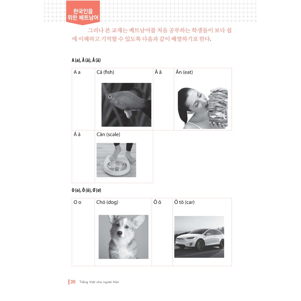 Sách - Tiếng Việt Dành Cho Người Hàn Sơ Cấp