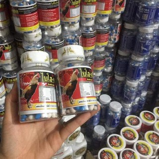 cứng xương phục hồi xương gân cho gà