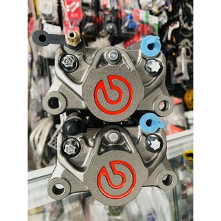 heo adelin phay brembo 2 pis