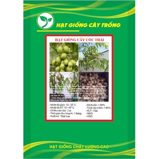 Hạt giống cây ăn trái cóc thái kns3720 - gói 3 hạt