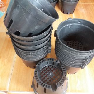 50 chậu trồng lan rộng 14cm