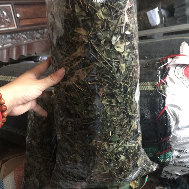 Chè vằng sẻ nghệ an
