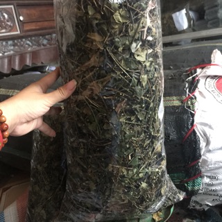 Chè vằng sẻ nghệ an