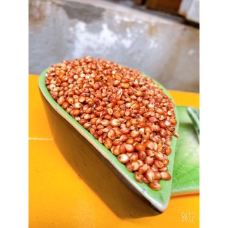 500gr Hạt bo bo đỏ cho chim vet, cu gay, hamster...
