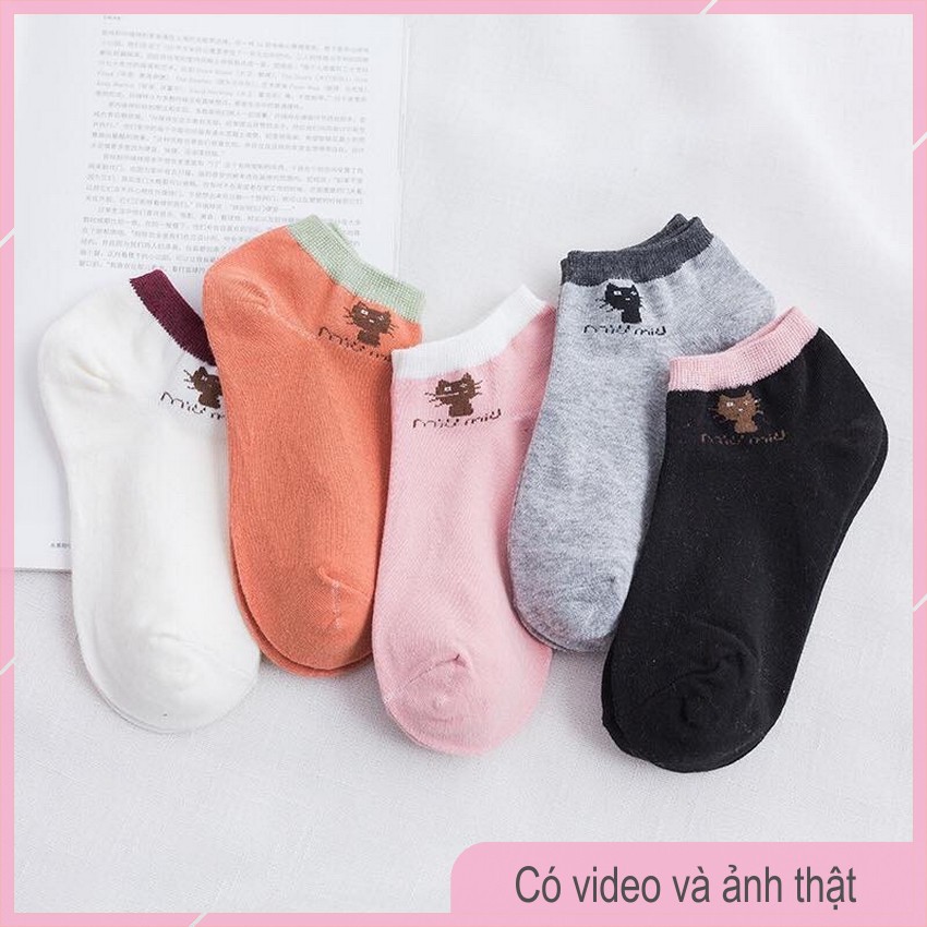 Sét 10 Đôi Tất Mèo Miu Miu Nữ Dễ Thương T03-THESHE
