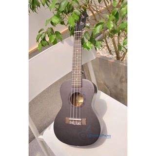 Đàn Ukulele Concert Diduo gỗ nguyên tấm UK-2300 tặng Bao da, sách học và phím gảy