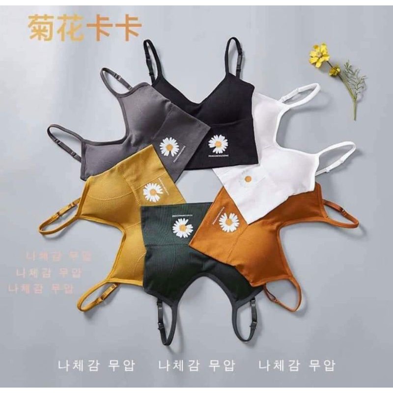 BRA HOA CÚC CHO TẬP GYM,...