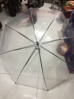 Ô Dù Trong Suốt