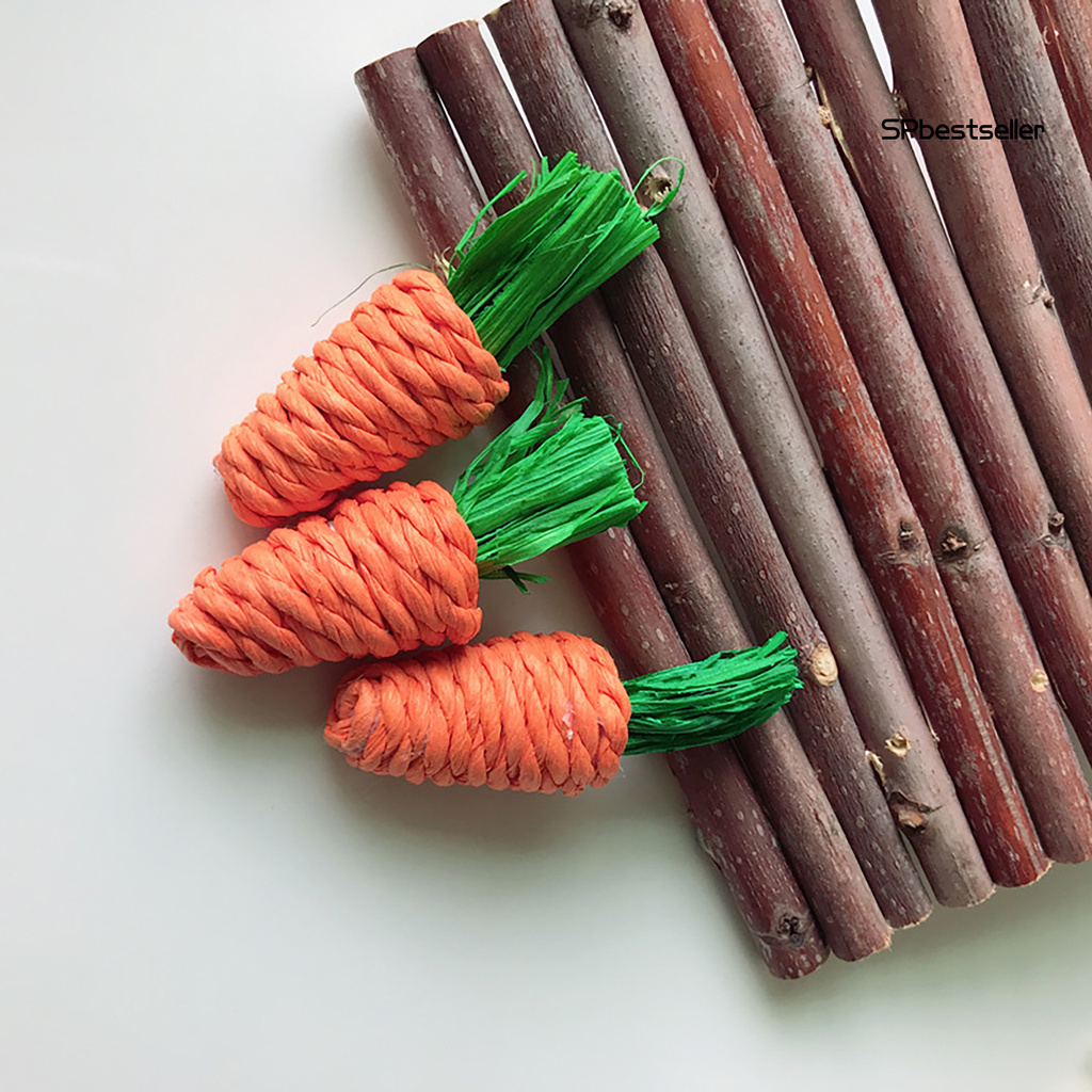 3 Cà Rốt Đồ Chơi Cho Thú Cưng