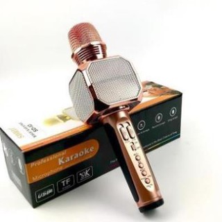 Micro Bluetooth Hát Karaoke Không Dây SD10 Đa Năng chỉnh giọng ghi âm tích hợp kèm loa - hàng chính hãng